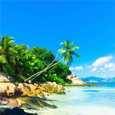 星空线上官网下载手机版截图